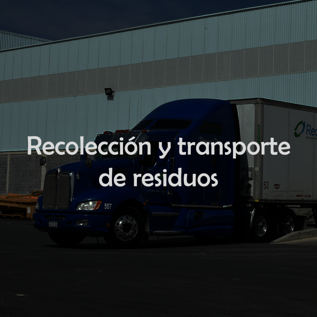 recolección berker